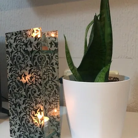 Fenix Apartamento Belgrado